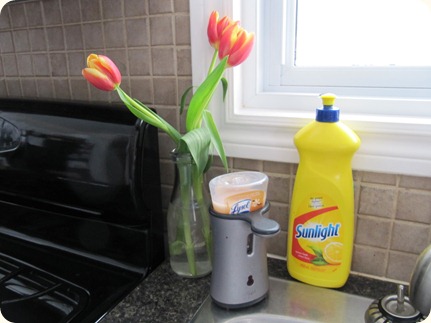 Flowers by the Sink (1)