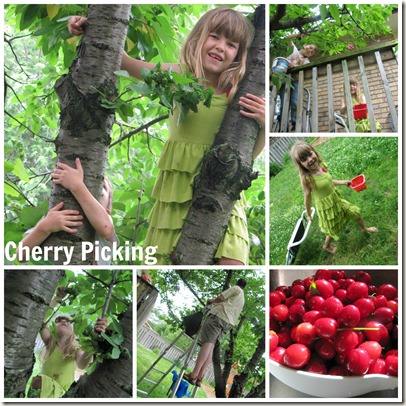 Cherry Picking