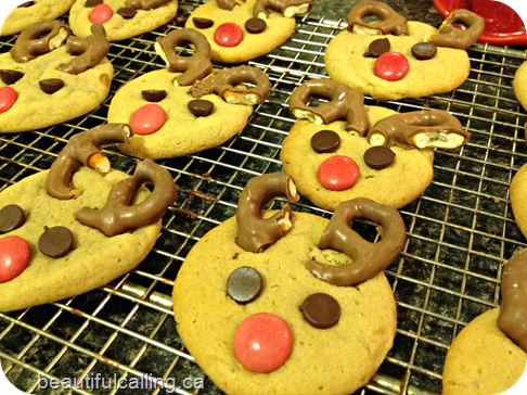 Reindeer cookies