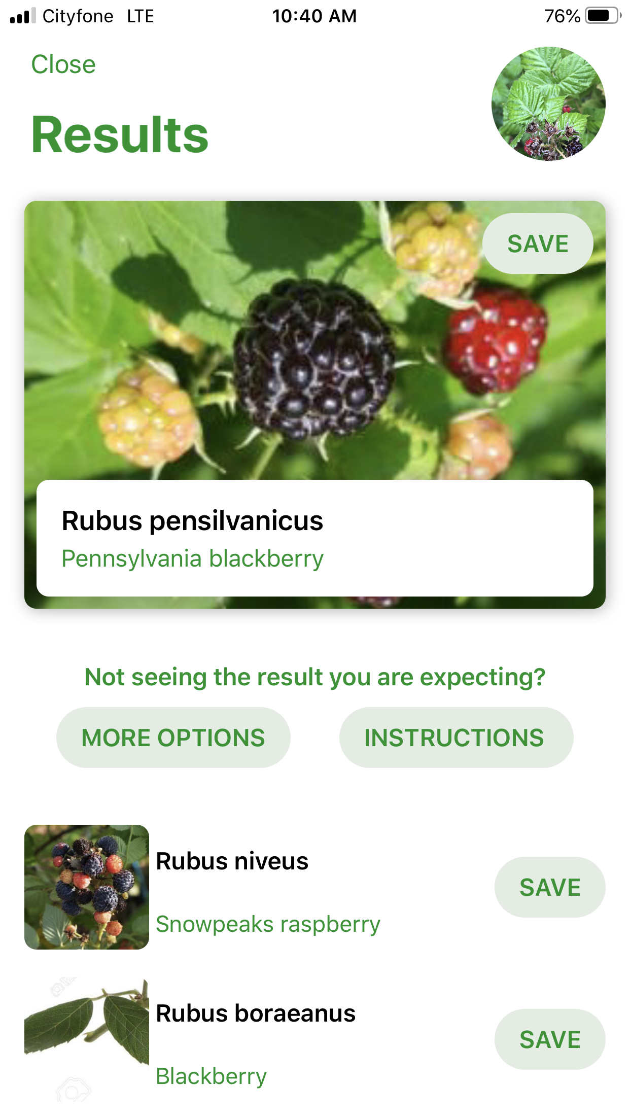 PlantSnap Pennsylvania Blackberry